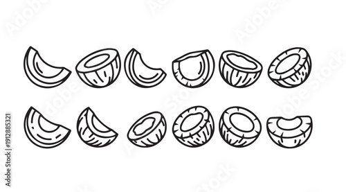 Coconut Halves and Slices Line Art Illustration Stock Media