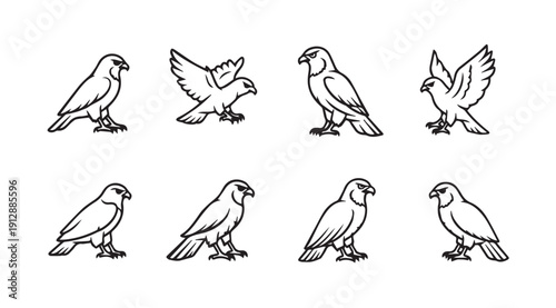 Collection of Eagle Bird Icons Set, Different Poses, Line Art