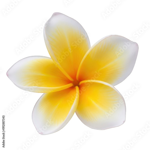 Wallpaper Mural Vibrant yellow plumeria flower with white petal tips isolated on transparent background Torontodigital.ca