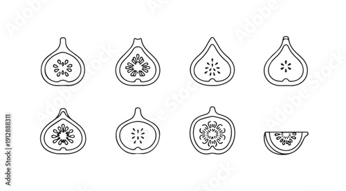 Fig Slice Line Art Icons Set, Fresh Fruit Halves and Sections, Simple Vector Illustration