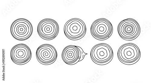 Onion Slices Pattern, Top View, Line Art, Isolated on White Background