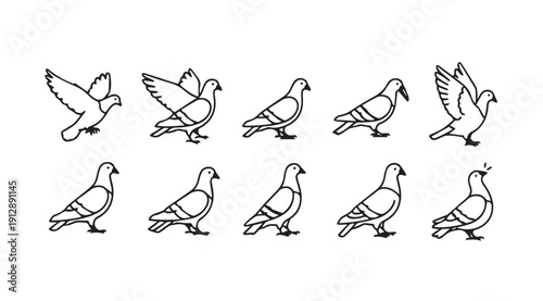 Pigeon Line Art Icons Set: Flying and Standing Pigeons, Vector Illustrations