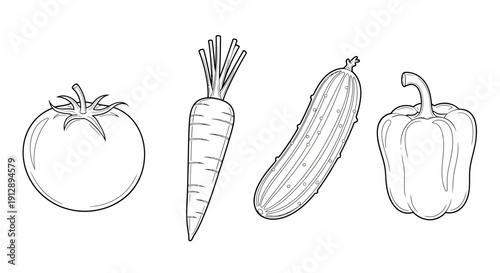Line Art Vegetables: Tomato, Carrot, Cucumber, Bell Pepper - Healthy Food Illustration