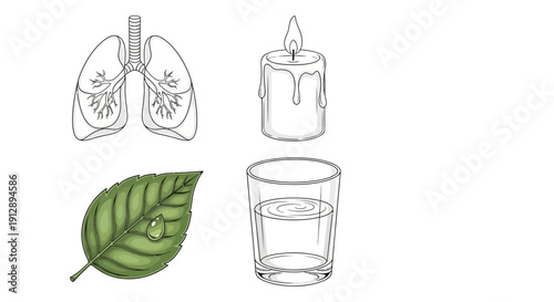 Lungs, Candle Flame, Leaf, and Water Glass: Elements of Life and Breath