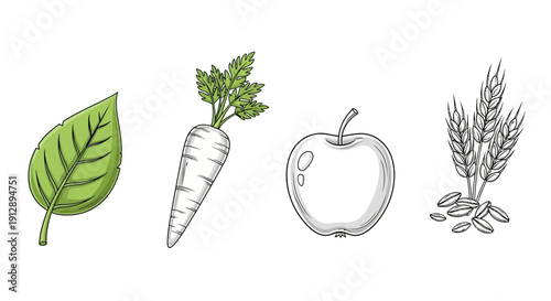 Healthy Food Variety: Leaf, Carrot, Apple, Wheat - Organic Ingredients