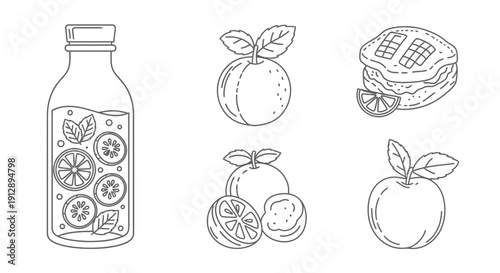Healthy Fruit Infused Water Bottle, Citrus Slices, Mint, Apple, Orange, Pie Slice - Line Art Icons