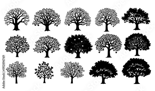 Detailed Apple Tree Silhouette Vector Collection with Gnarled Orchard Trees Isolated on White Background