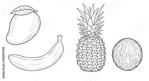 Hand-drawn Tropical Fruits: Mango, Banana, Pineapple, Coconut - Sketch Style
