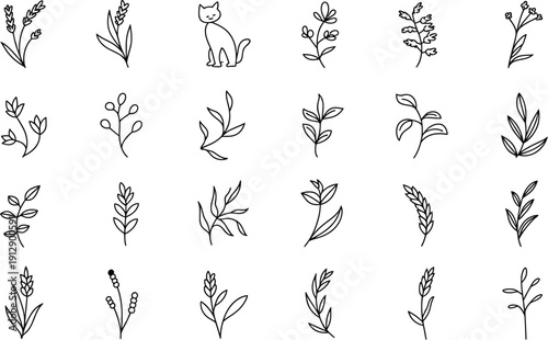 A Versatile Collection of Minimalist Digital Graphic Design Elements Featuring Hand-Drawn Botanical Foliage, Delicate Sprigs, and a Charming Cat Illustration Set