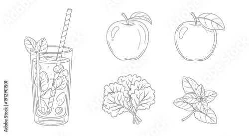 Fresh Mint Mojito Drink with Apples and Herbs - Line Art Illustration