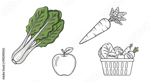 Fresh Organic Vegetables and Fruit Assortment - Healthy Eating Concept