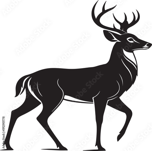 Elegant White-Tailed Deer Silhouette, Majestic Wildlife, Nature Symbol, Black and White Vector Art