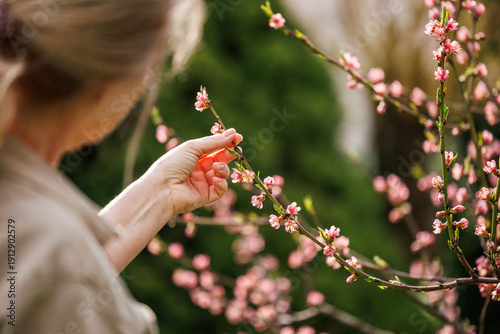 Φωτογραφία Female farmer checking blossoms of blooming peach tree in orchard