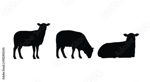 Silhouettes of three sheep one standing one grazing and one reclining