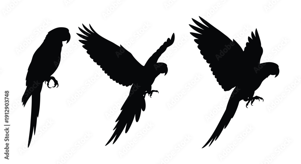 Fototapeta premium Silhouette of three parrots in flight showcasing vibrant avian forms
