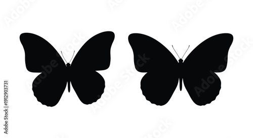 Two black silhouettes of butterflies with outstretched wings are depicted