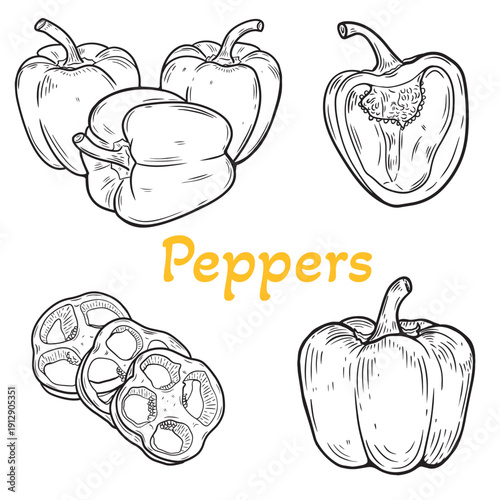 Bell pepper set line art illustration, hand drawn capsicum collection, whole and sliced vegetable sketch, black and white vector isolated