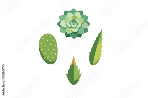 A collection of four stylized green succulent and cactus illustrations isolated on a black background, featuring a rosette plant, a prickly pear pad, and serrated aloe leaves.