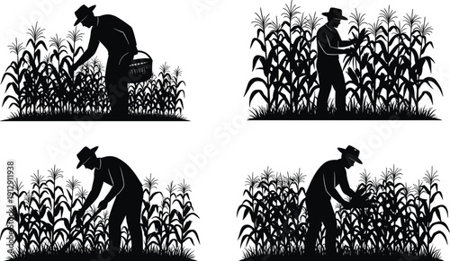 Set of Four Farmer Silhouettes Working in a Cornfield Harvesting Crops, Agriculture and Rural Farm Life Vector Illustration Isolated,