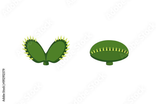 This illustration depicts a Venus flytrap in both open and closed positions. The green carnivorous plant has sharp yellow marginal teeth and is set against a solid black background.