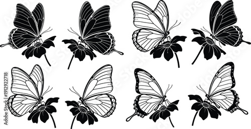 Collection of beautiful butterfly silhouettes sitting on flowers featuring intricate wing patterns isolated on white background for nature spring and garden design projects