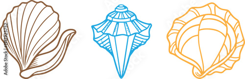 Collection of stylized seashell and sea life illustrations in color.