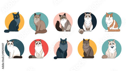 Grid of ten various cat illustrations showing different breeds and colors in circular frames to represent feline diversity.