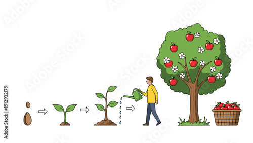 Educational diagram showing the life cycle of an apple tree from a small seed to a fruit-bearing tree with a harvest basket.