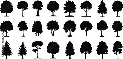 Tree silhouette set, various deciduous and pine trees collection, black forest plants shapes, nature landscape vector illustration