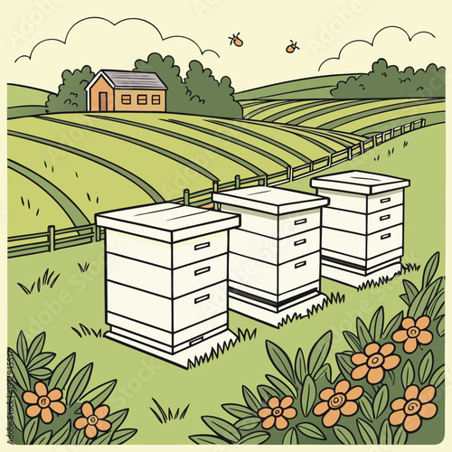 White beehives in green field with orange flowers and house