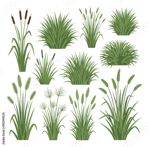 Stylized grass and reed set featuring cat tails, tall grass tufts, and various marsh plants for natural landscape decoration