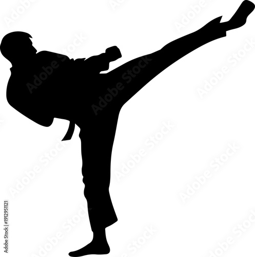 Athlete Performing Powerful High Kick Martial Arts Silhouette Illustration
