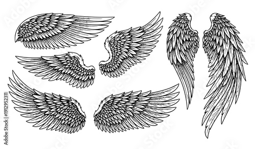 Ornamental Angel Wings Vintage Thin Line Feather Engraving Style Vector Clipart Collection Isolated on White Background