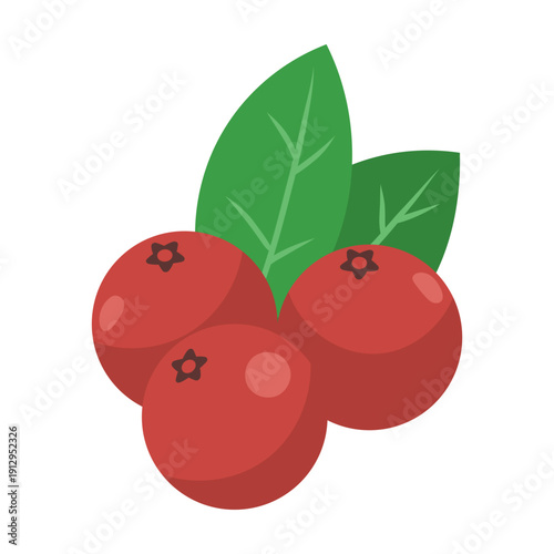 cranberries illustration