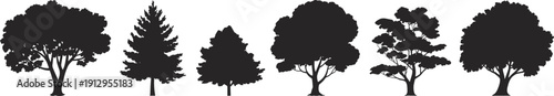 Mixed tree silhouettes collection, isolated deciduous and pine forest trees, black natural shapes for landscape graphic design