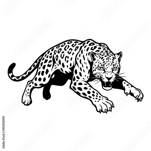 Graceful black and white cheetah in a relaxed, mid-stride pose.