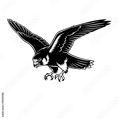 Elegant black silhouette of a soaring eagle in mid-flight against a plain background