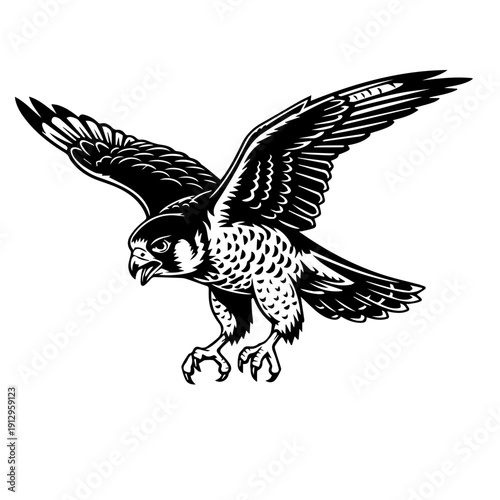 Majestic black and white illustration of a peregrine falcon in flight