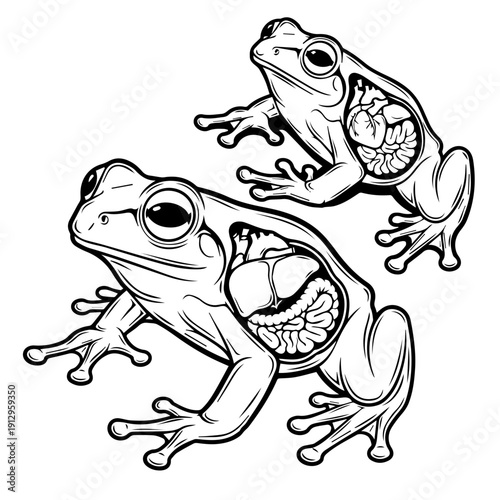 Three stylized frogs sitting closely together in a monochromatic illustration