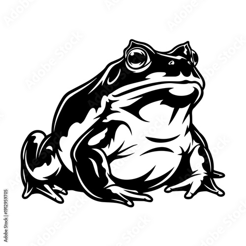 Classic black and white illustration of a sitting toad with a detailed texture