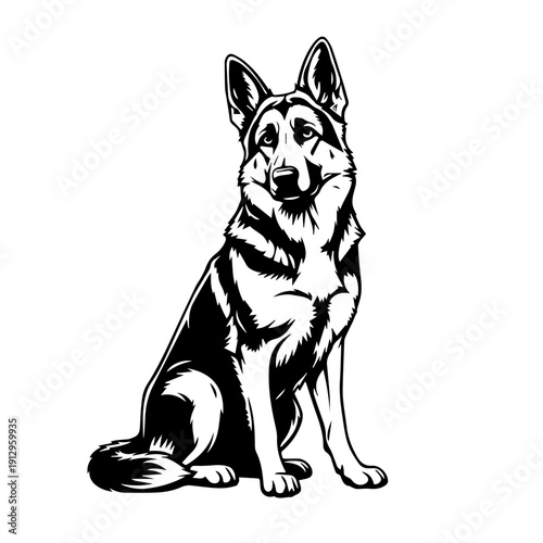 A focused german shepherd sitting attentively in a simple line drawing style