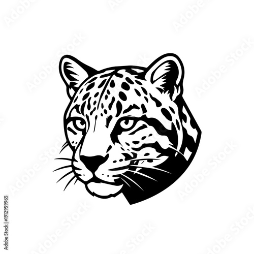 Black and white illustration of a snow leopard’s striking and majestic face