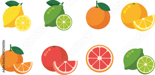 Citrus fruit vector set, lemon lime orange and grapefruit slices collection, fresh healthy food illustration isolated on white background