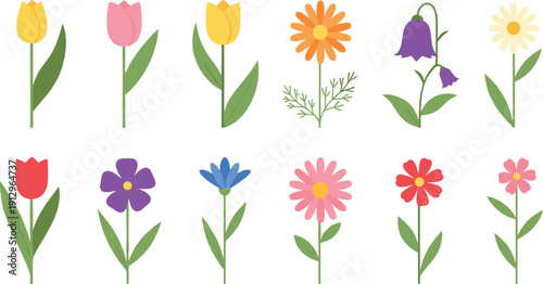 Simple spring flower illustration set with colorful blooming plants, tulips, daisies, and wildflowers in clean flat style for nature and decorative design projects