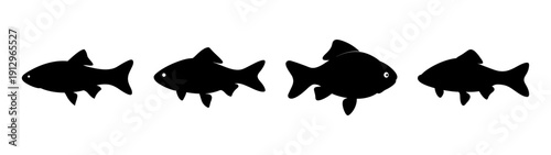 Set of carp fish silhouettes in flat design vector illustration