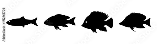 Collection of various fish silhouettes in flat design vector illustration