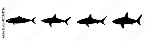 Flying mackerel fish school in formation vector illustration flat design scalable art