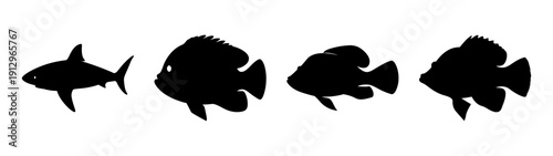 Set of black fish silhouettes on white background vector illustration