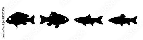 Fish Silhouettes Collection on White Background vector illustration
