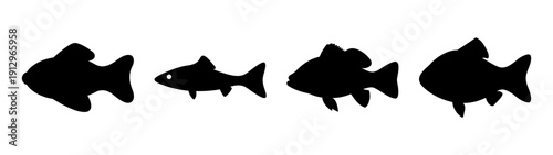 Set of black fish silhouettes on white background vector illustration